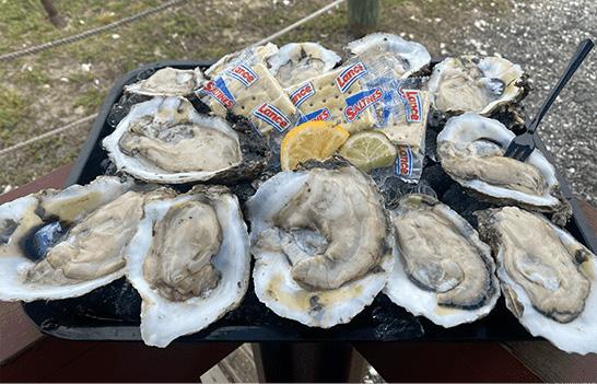 Sandbar Raw Oysters